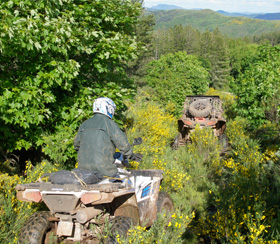 Deux quads de dos, qui s'enfoncent dans une nature luxuriante des Cévennes